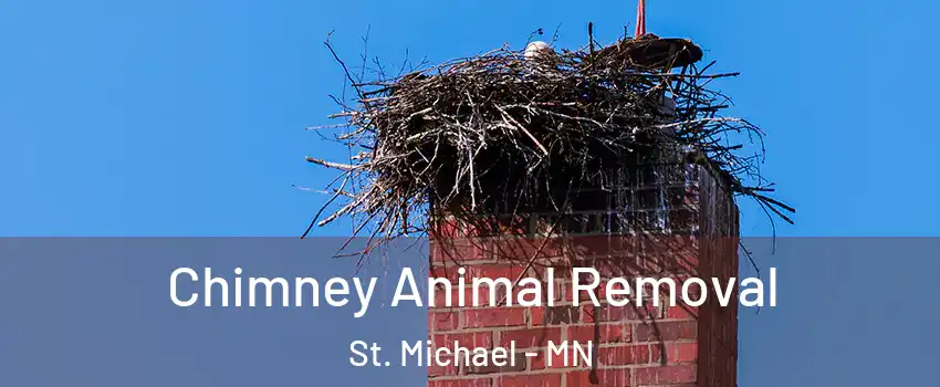 Chimney Animal Removal St. Michael - MN